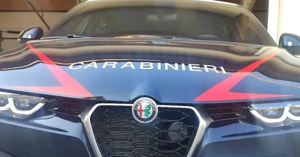 Aquila Nera, la rete della cocaina tra Sud America e Italia: 20 misure cautelari e 82 chili sequestrati